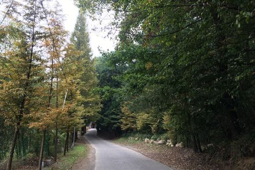 西天目清凉山庄   分