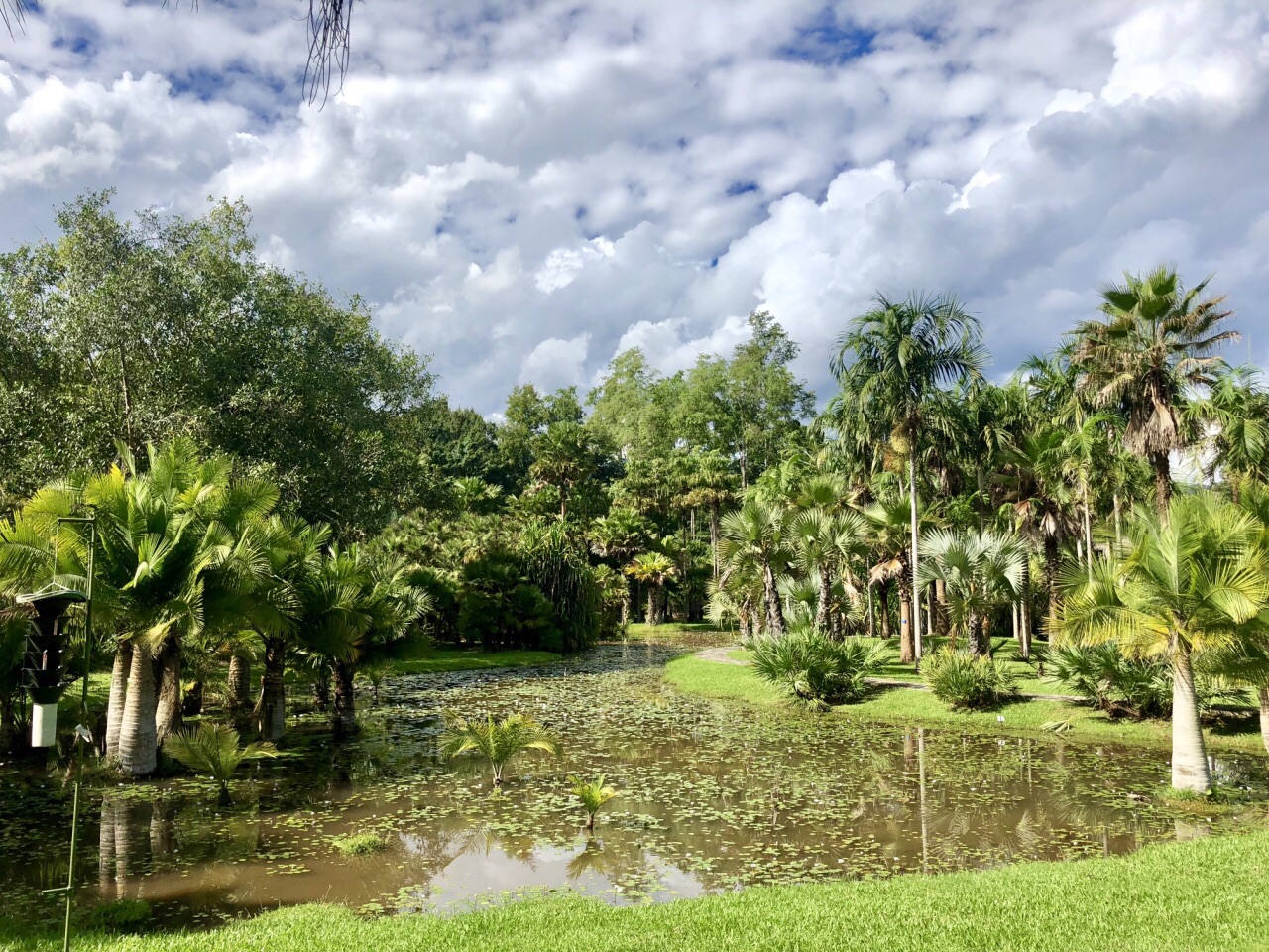 中科院西双版纳热带植物园