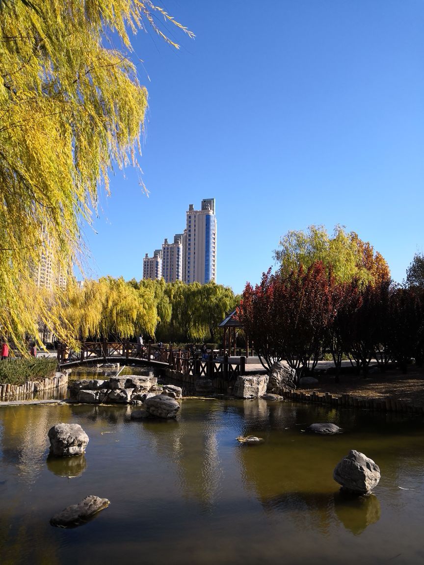 北京北小河公园图片图片