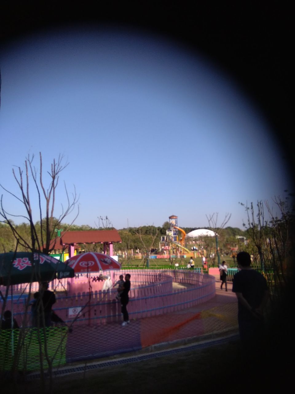 武汉松鼠部落森林假日公园