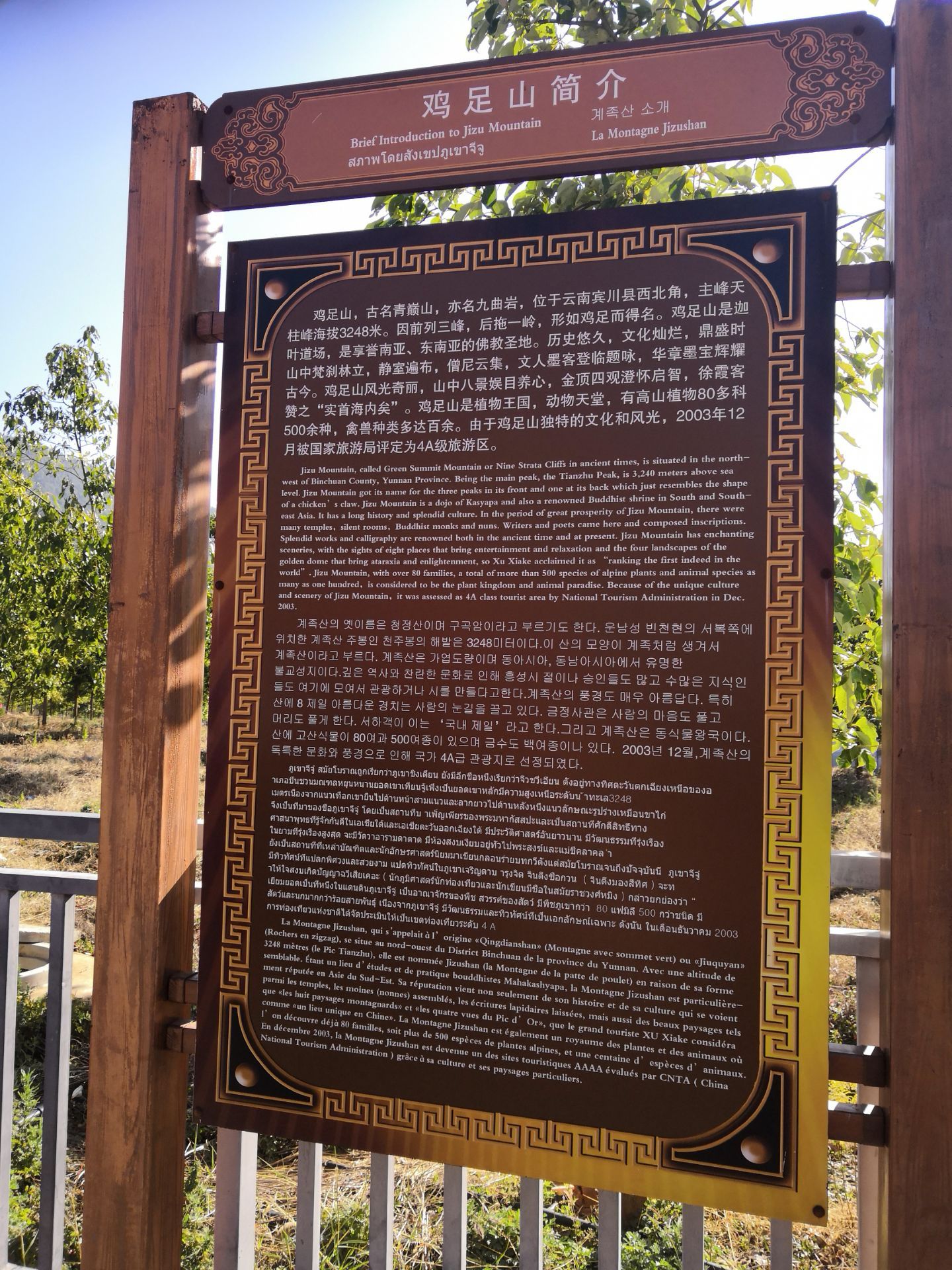  鎖定華數(shù)，見證廣東體育風(fēng)采：在線直播，激戰(zhàn)一觸即發(fā)！