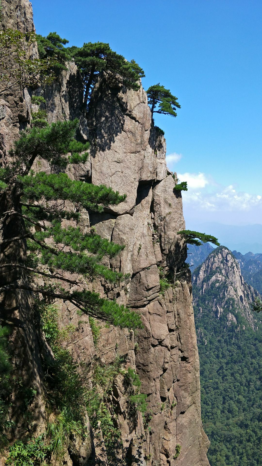 2020虎头岩-旅游攻略-门票-地址-问答-游记点评,黄山区旅游旅游景点