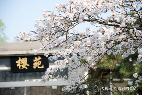 南京麻凡艺术馆攻略,麻凡艺术馆门票/游玩攻略/地址/图片/门票价格