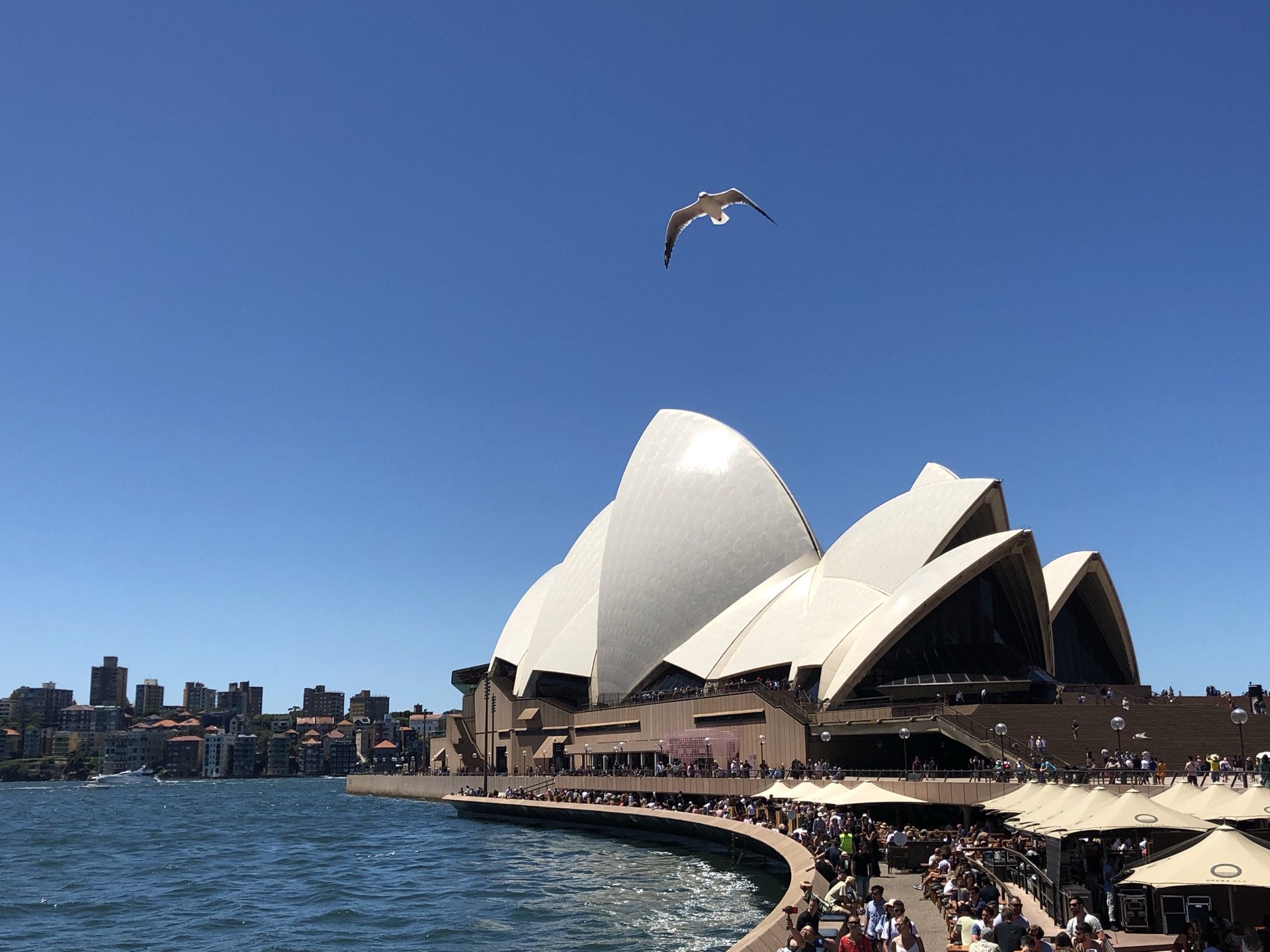 悉尼歌剧院