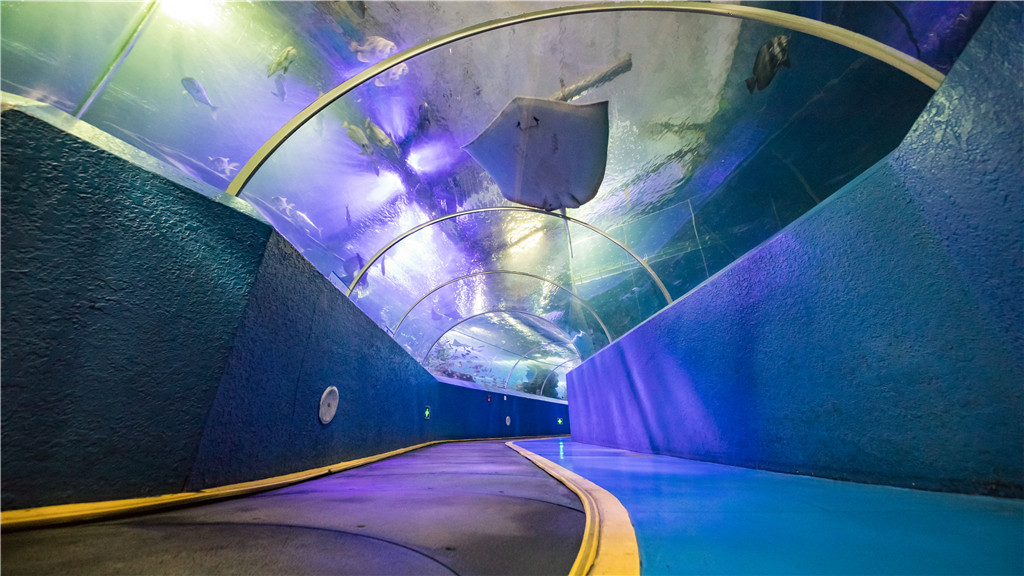 青岛海底隧道博物馆图片