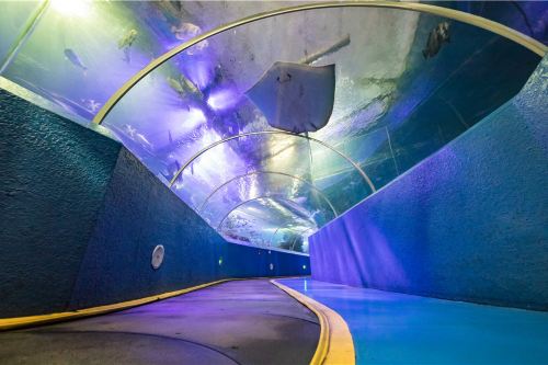 青海海底隧道图片