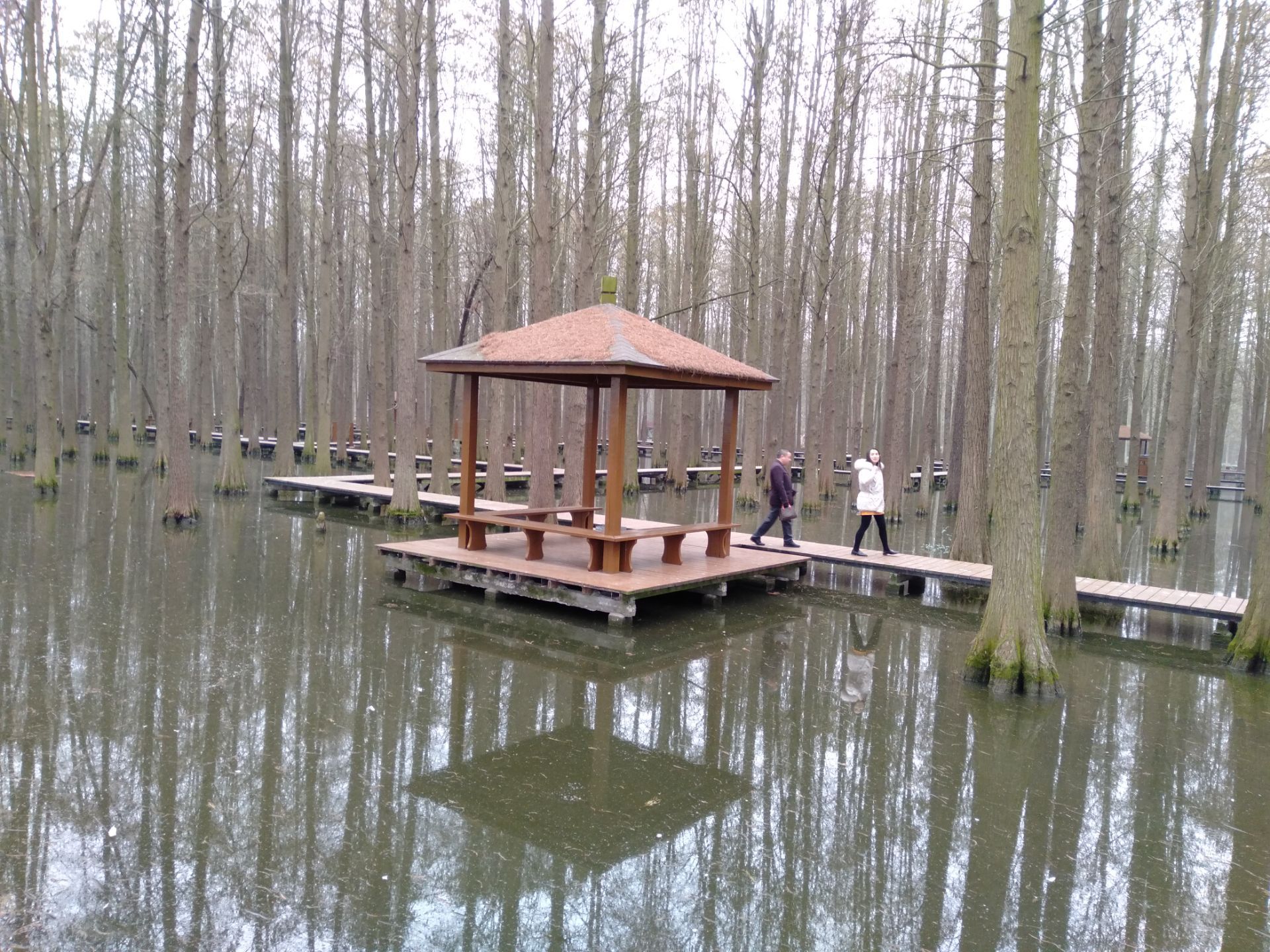 興化李中水上森林公園好玩嗎,興化李中水上森林公園景點怎麼樣_點評