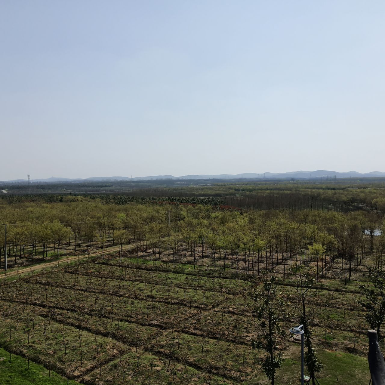 风景还是很赞的,因为在官亭林海附近上班,每天吃过晚饭都会去逛一逛.