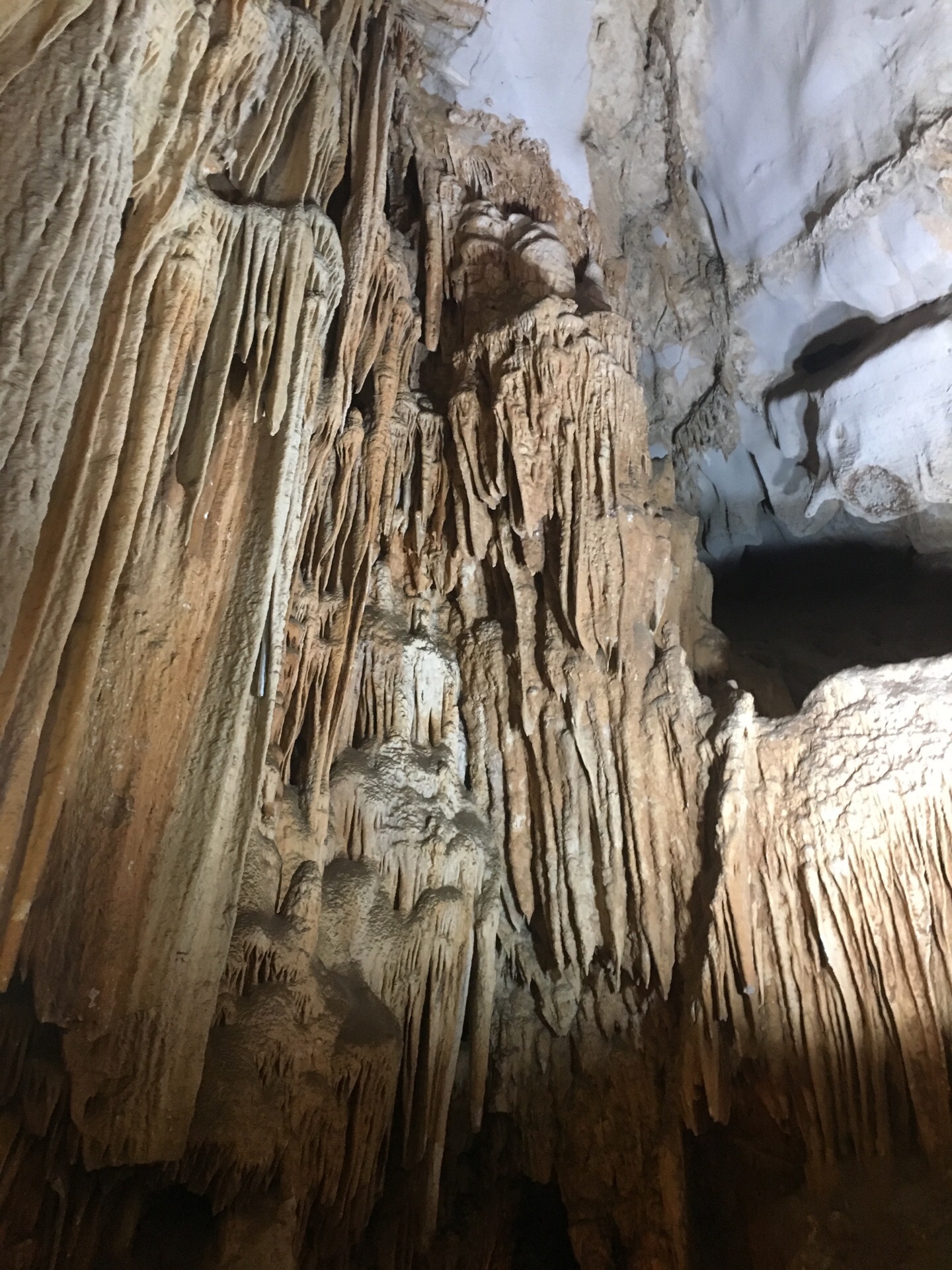 【携程攻略】云南阿庐古洞国家地质公园景点,阿卢的洞口不像他的名字那么响亮，低矮简单的，不过反而让人更有想一…