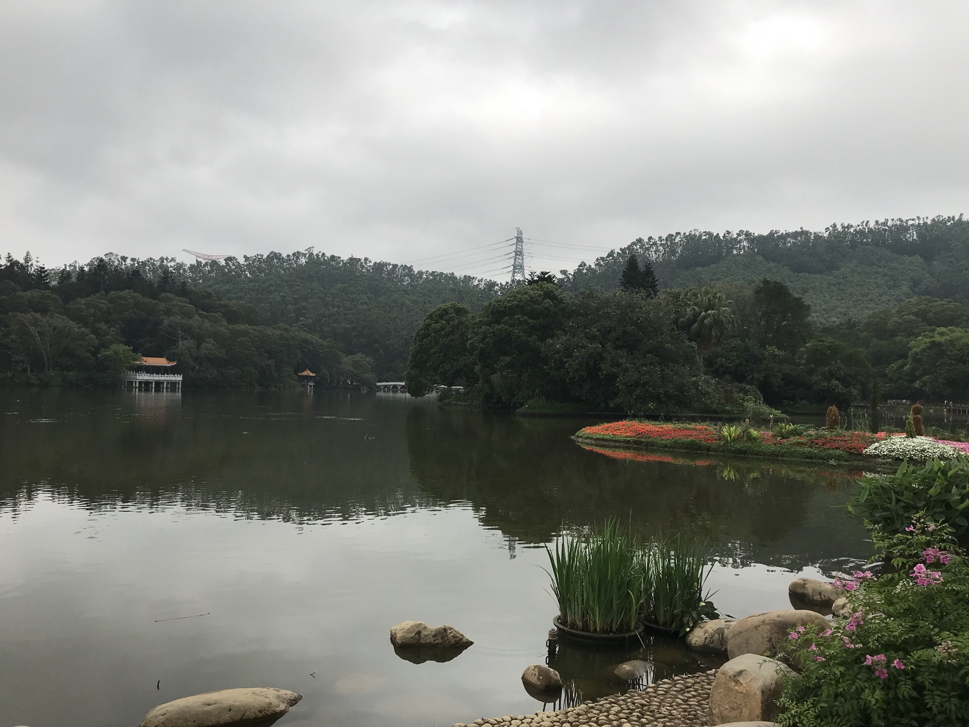 游仙湖植物园|摄影|风光|黄德志 - 原创作品 - 站酷 (ZCOOL)