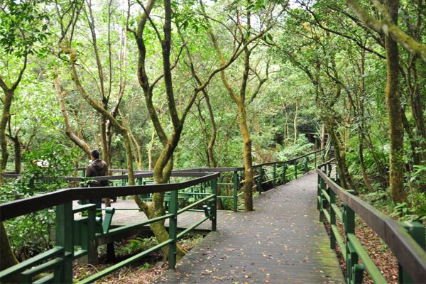 台北象山自然步道好玩吗,台北象山自然步道景点怎么样_点评_评价