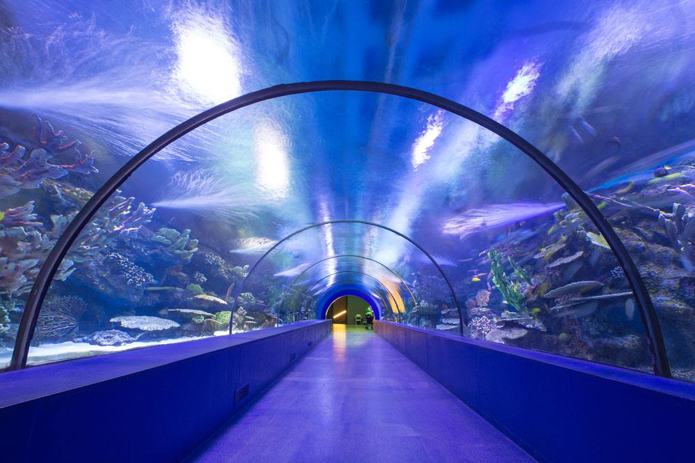 世界最大的室内水族馆之一,最有特色的是有一只世界最大的水缸养着一