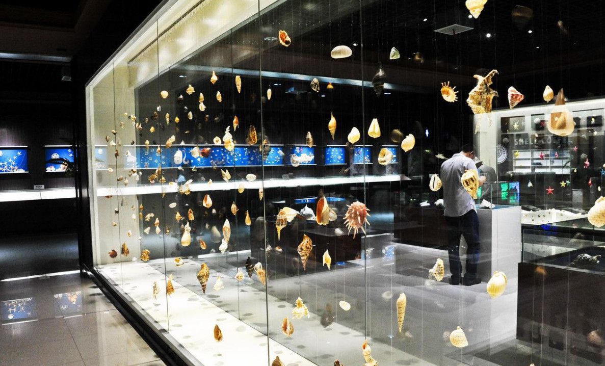 南戴河贝壳王国好玩吗,南戴河贝壳王国景点怎么样_点评_评价【携程