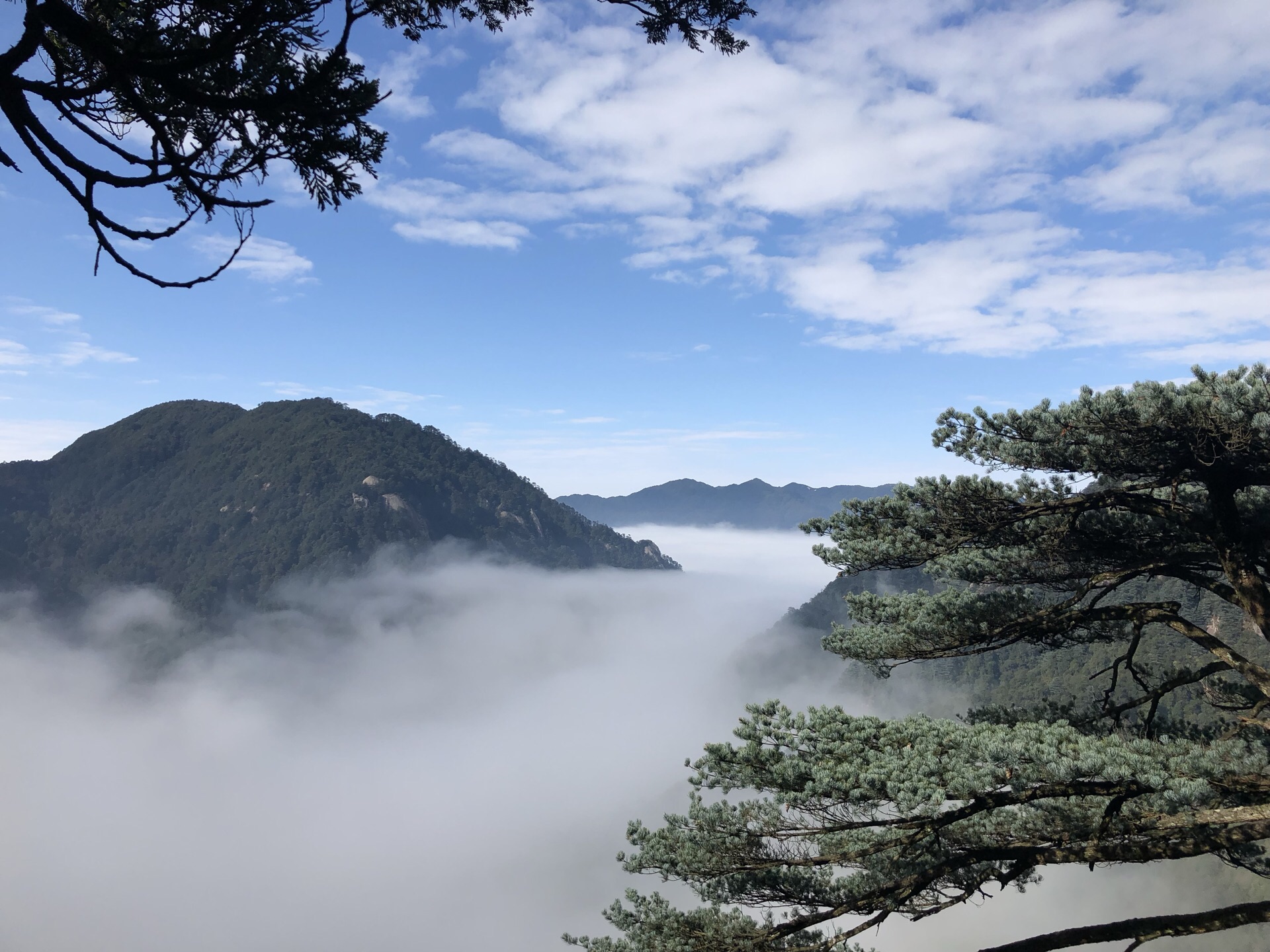 2020莽山国家森林公园-旅游攻略-门票-地址-问答-游记点评，郴州旅游旅游景点推荐-去哪儿攻略