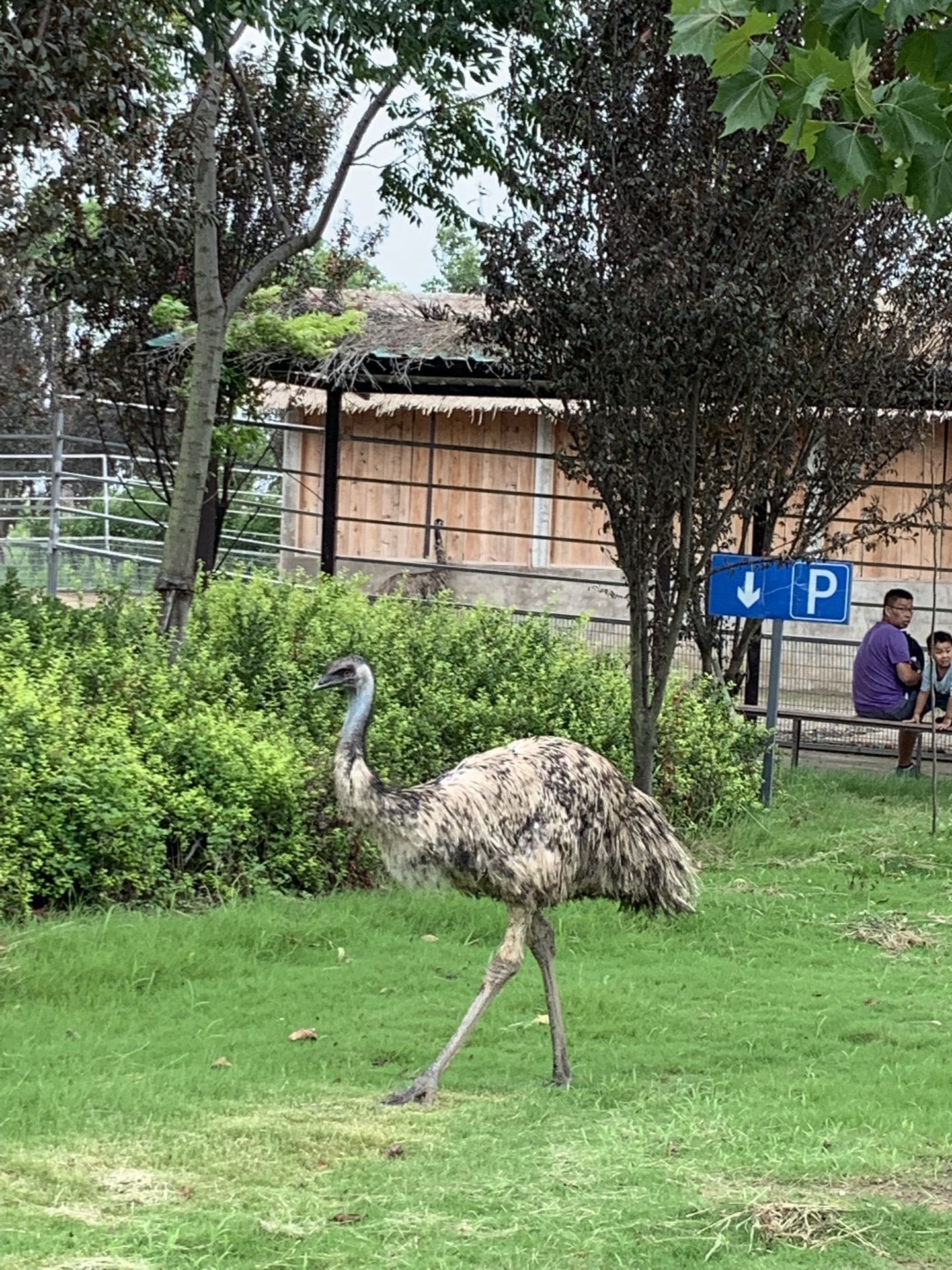 宿州野生動物園