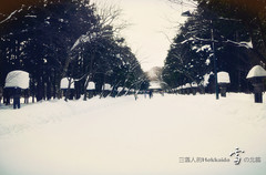 [札幌游记图片] 雪暖北海道，定山溪の色