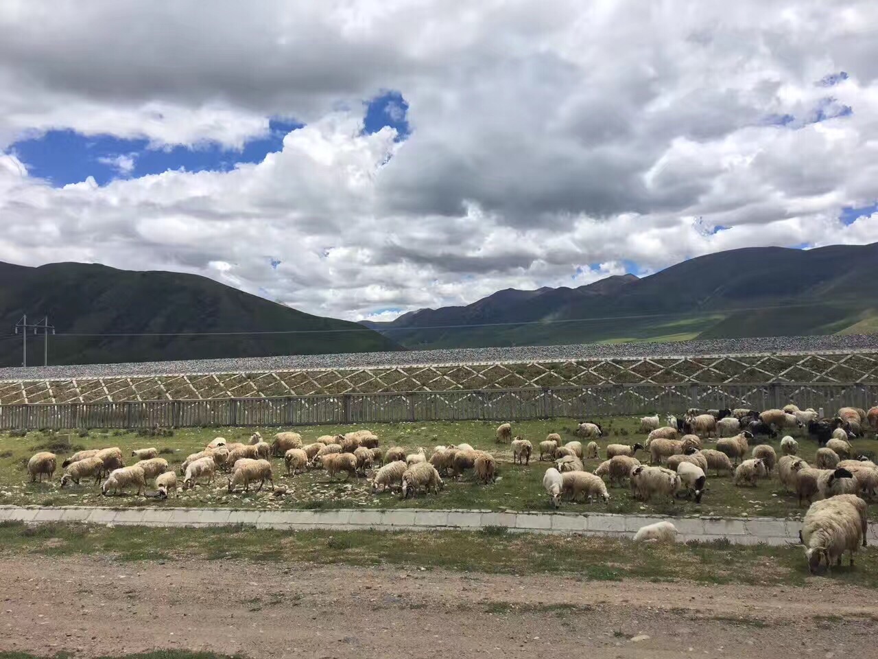 那曲高寒草原