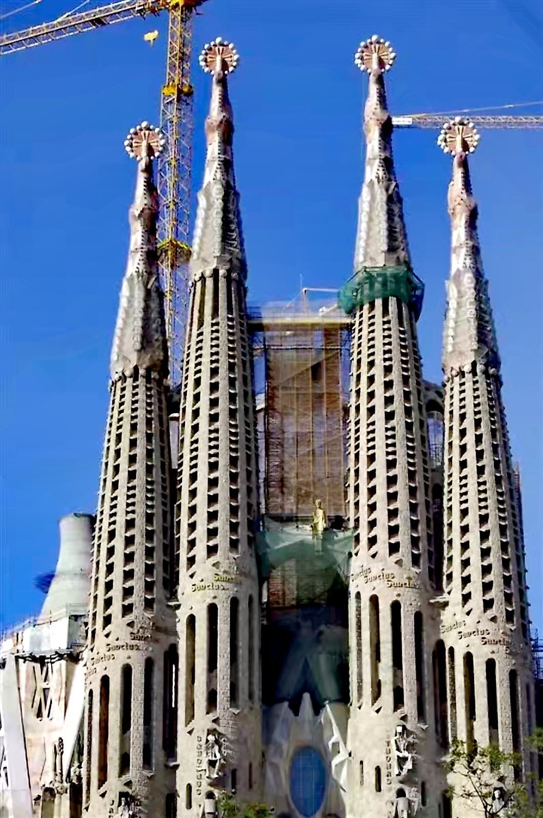 2019圣家族大教堂-旅游攻略-门票-地址-问答-游记点评，巴塞罗那旅游旅游景点推荐-去哪儿攻略