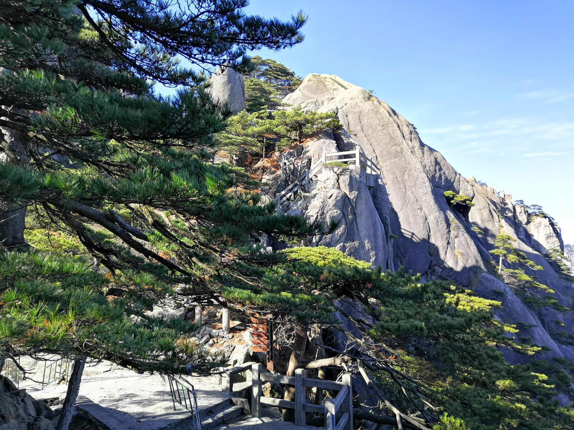 黄山风景区犀牛望月攻略,黄山风景区犀牛望月门票/游玩攻略/地址/图片