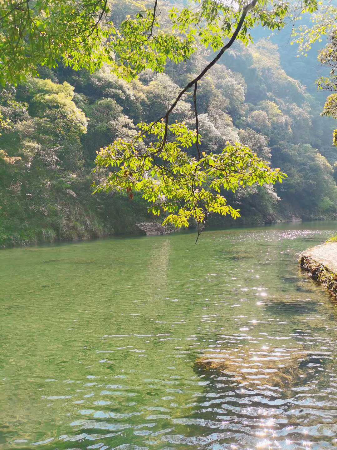 2018銅鈴山森林公園_旅遊攻略_門票_地址_遊記點評,文成旅遊景點推薦