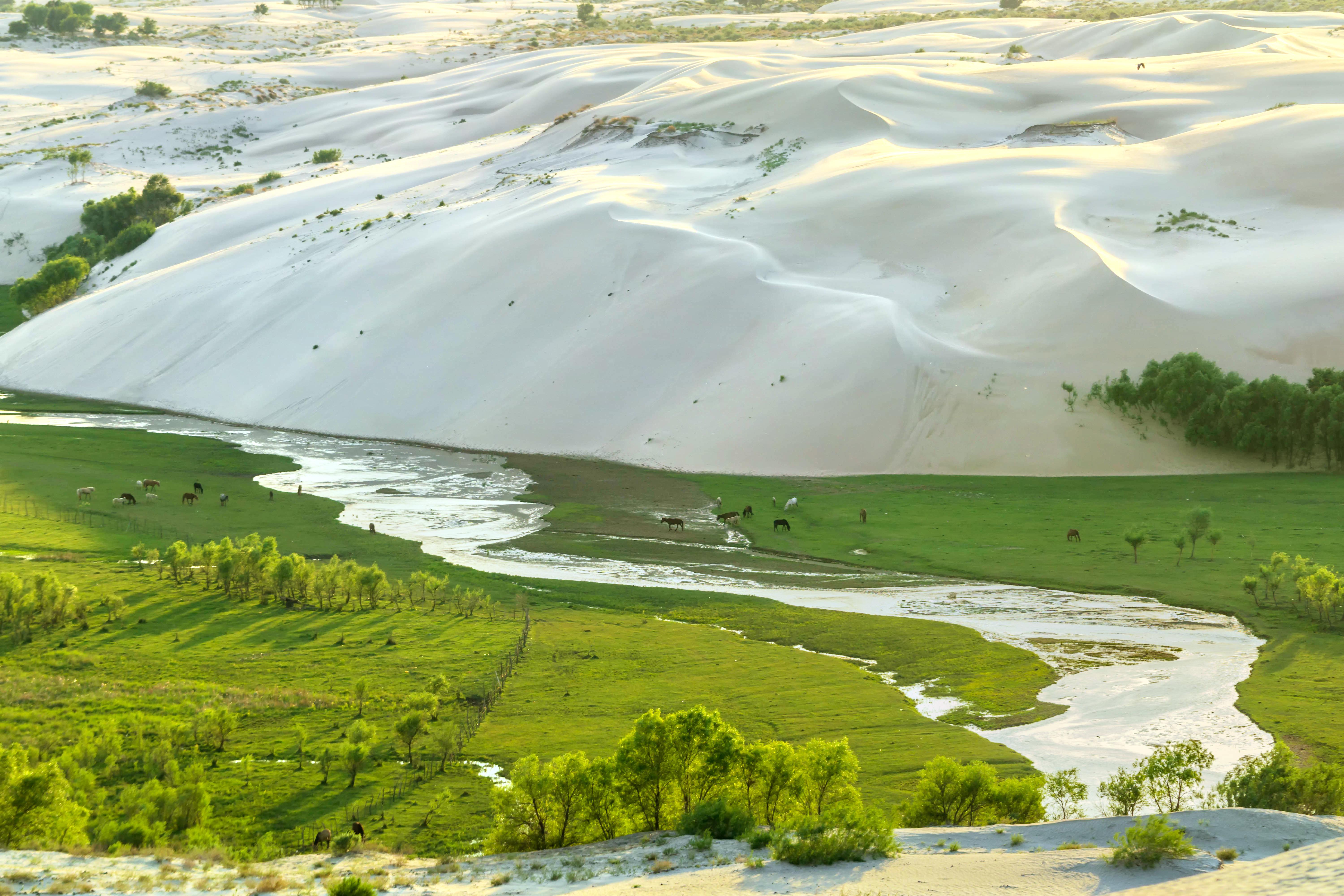 布日敦沙漠旅游区图片