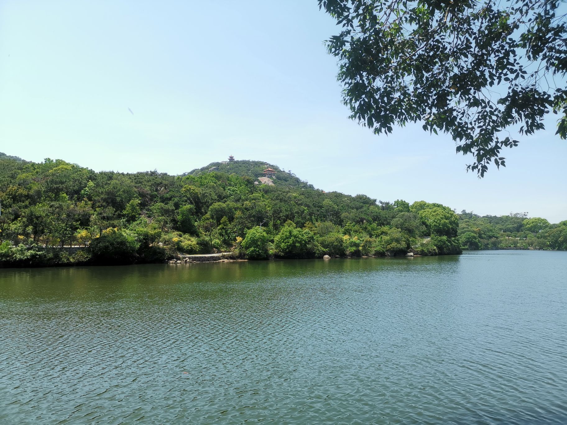 黄花山森林公园