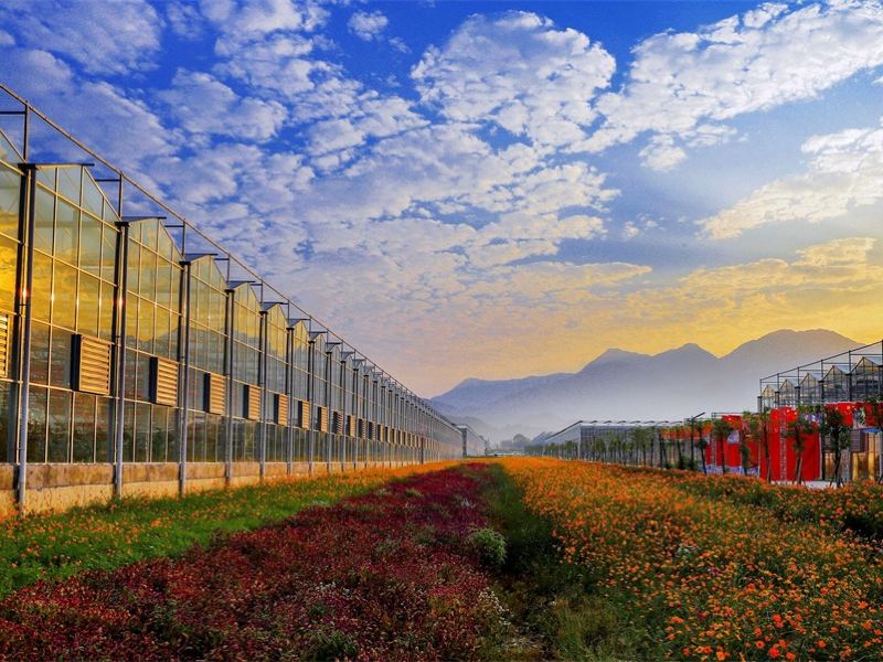 芦溪武功山花涧里攻略-武功山花涧里门票价格多少钱-团购票价预定优惠