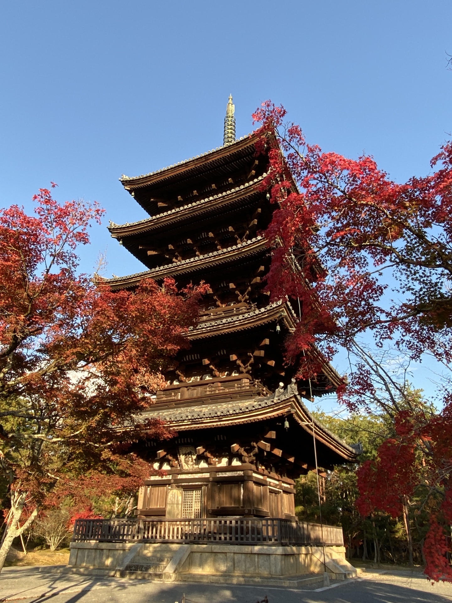 21仁和寺游玩攻略 仁和寺最美的季节是在春天 去哪儿攻略