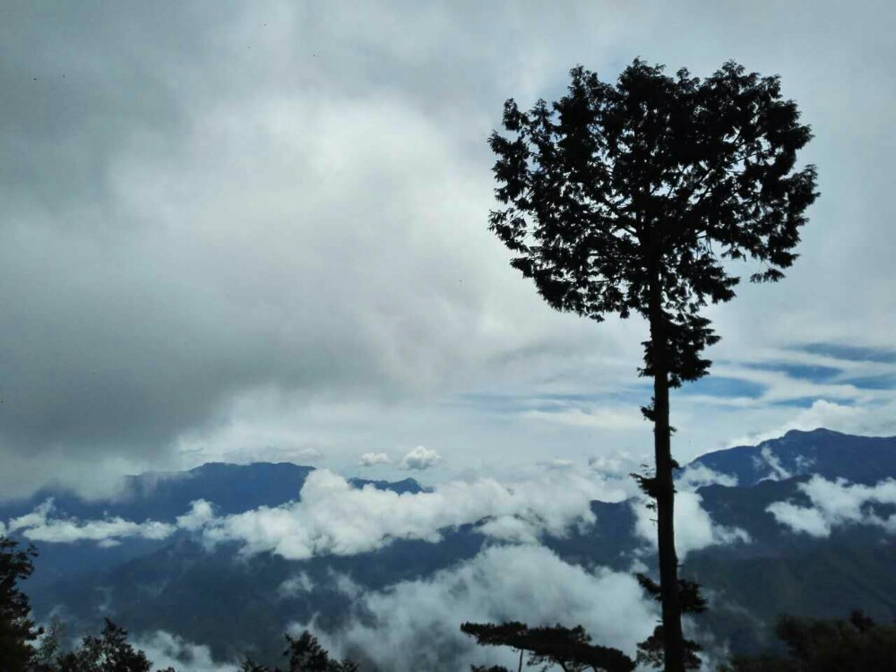 阿里山國家風景區旅遊景點攻略圖