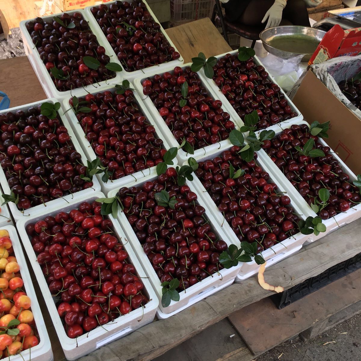 大连大菜市购物攻略,大菜市物中心/地址/电话/营业时间【携程攻略】