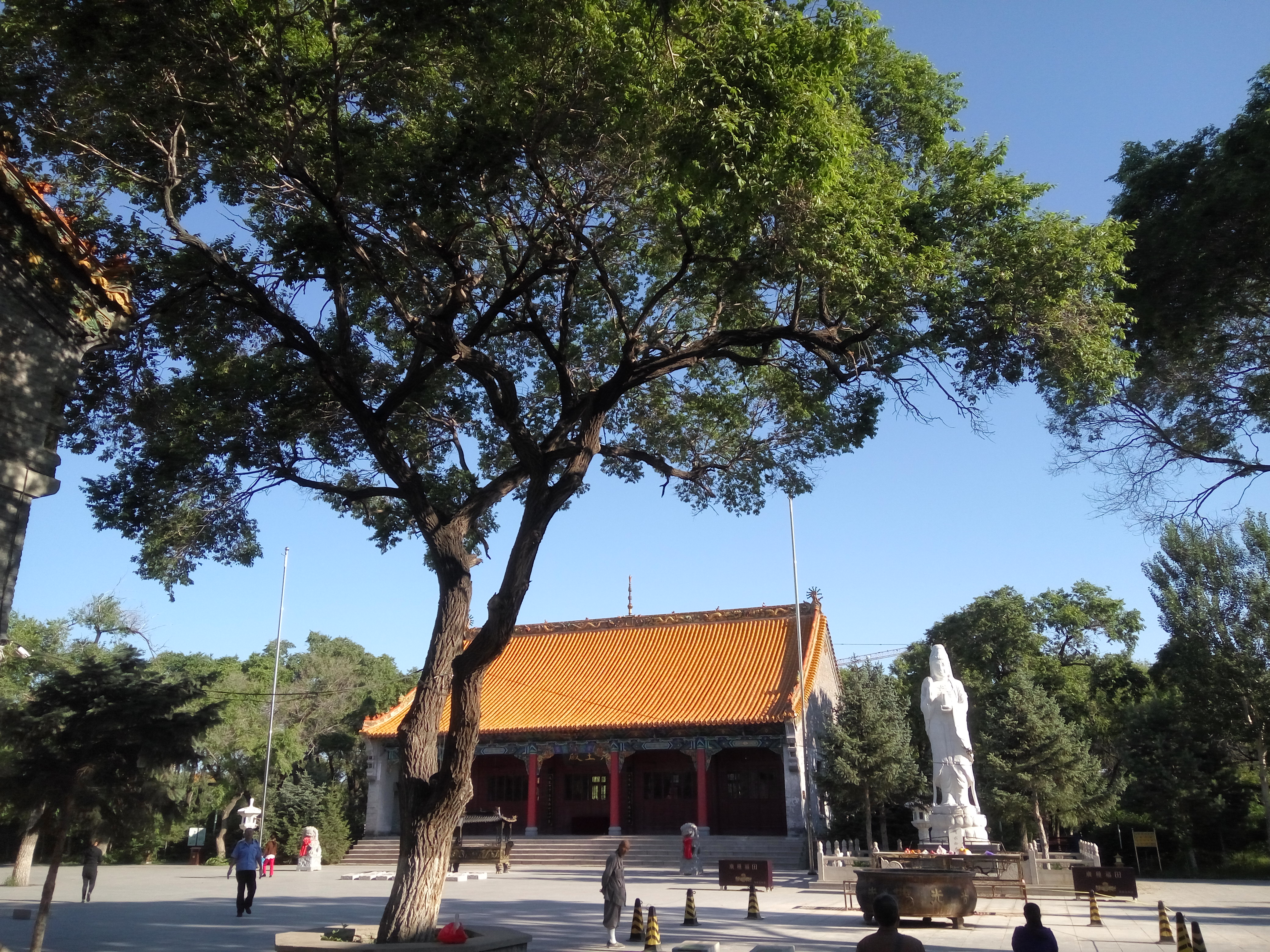 黑龙江大乘寺图片