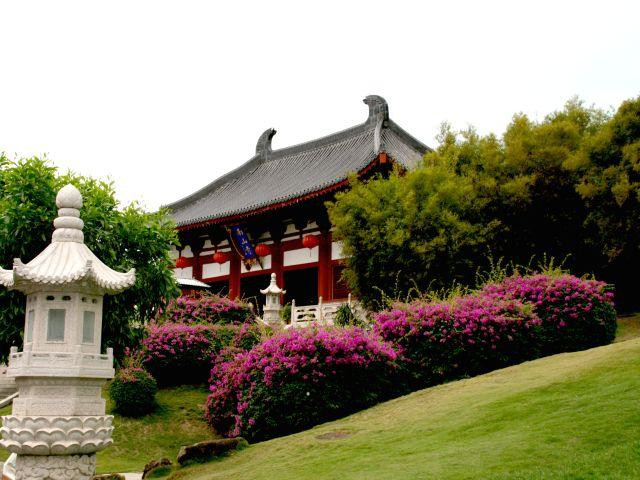 上海专列旅游遵义重庆(遵义到上海)(图2) 6天5晚重庆到三亚亲子游旅游攻略,重庆到