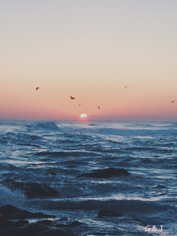 G和J的韩国Healing旅行