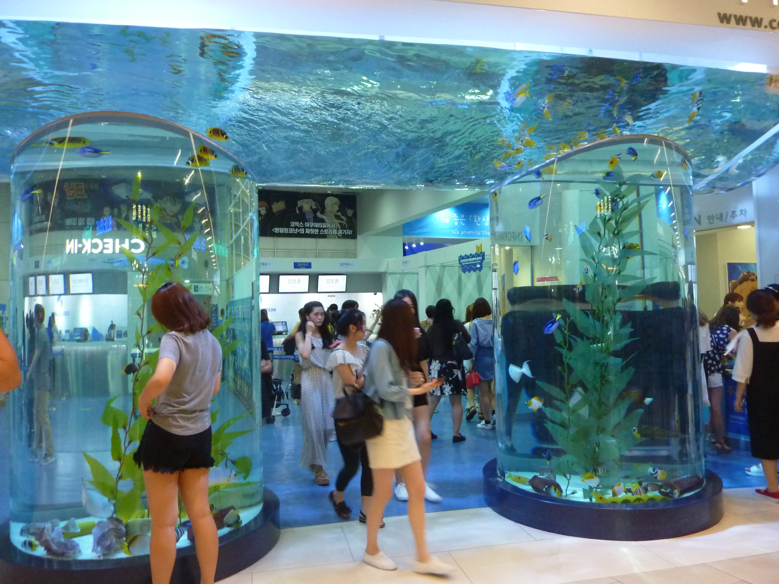 coex水族館