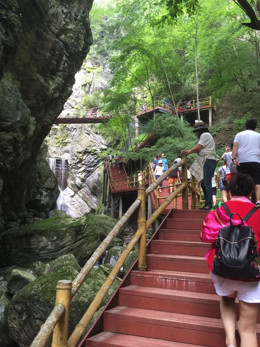 2019牛背梁國家森林公園_旅遊攻略_門票_地址_遊記點評,柞水旅遊景點