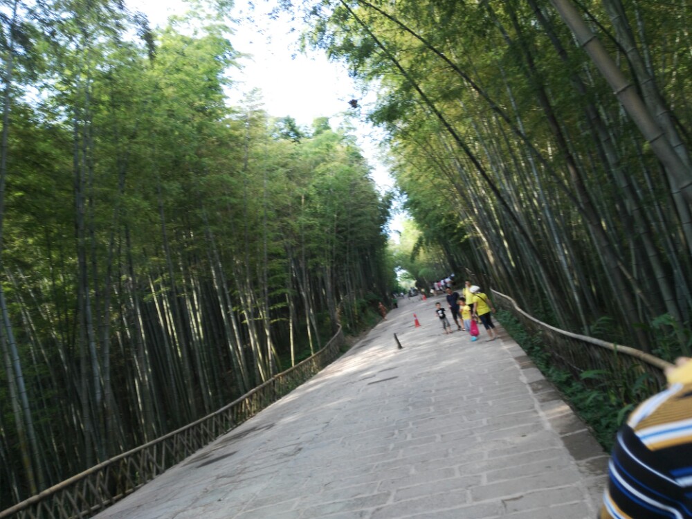 蜀南竹海旅遊景點攻略圖