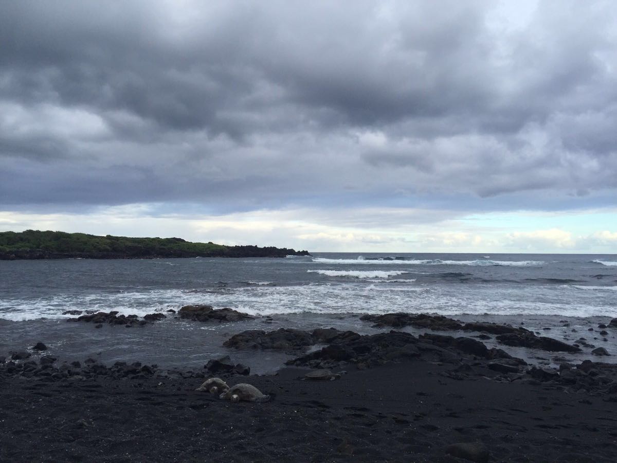 普纳鲁吾黑沙海滩