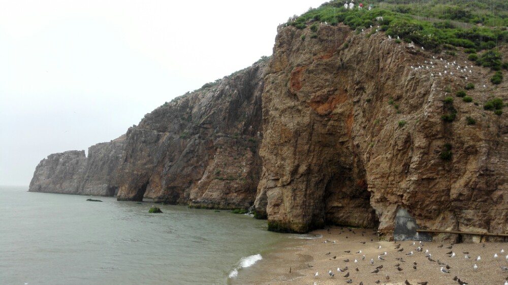 榮成海驢島好玩嗎,榮成海驢島景點怎麼樣_點評_評價【攜程攻略】