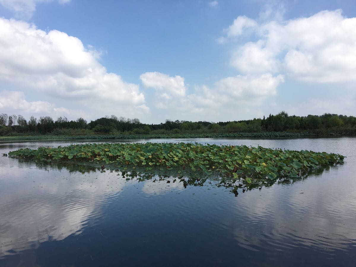 溱湖國家溼地公園