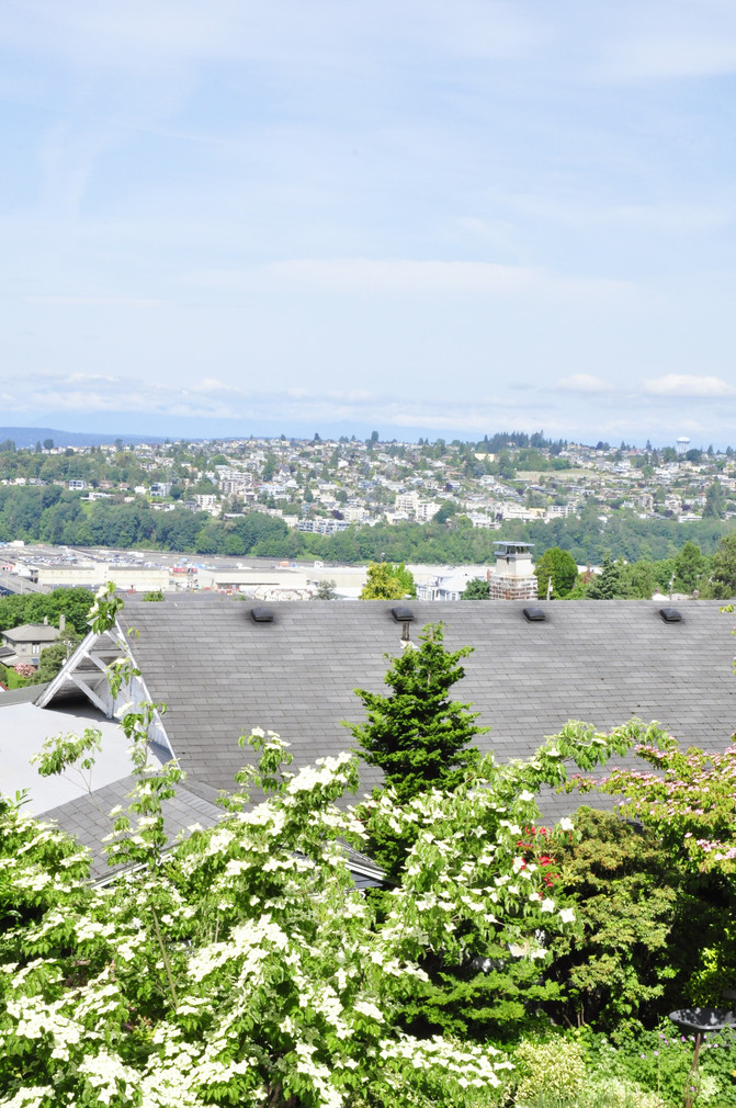 美国华盛顿西雅图seattle（20-7）---凯瑞公园kerry park