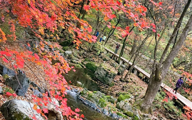 10月 关门山红叶正当时 本溪游记攻略 携程攻略