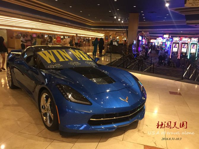 34天29城5000美金英语文盲美国自驾独行记(拉