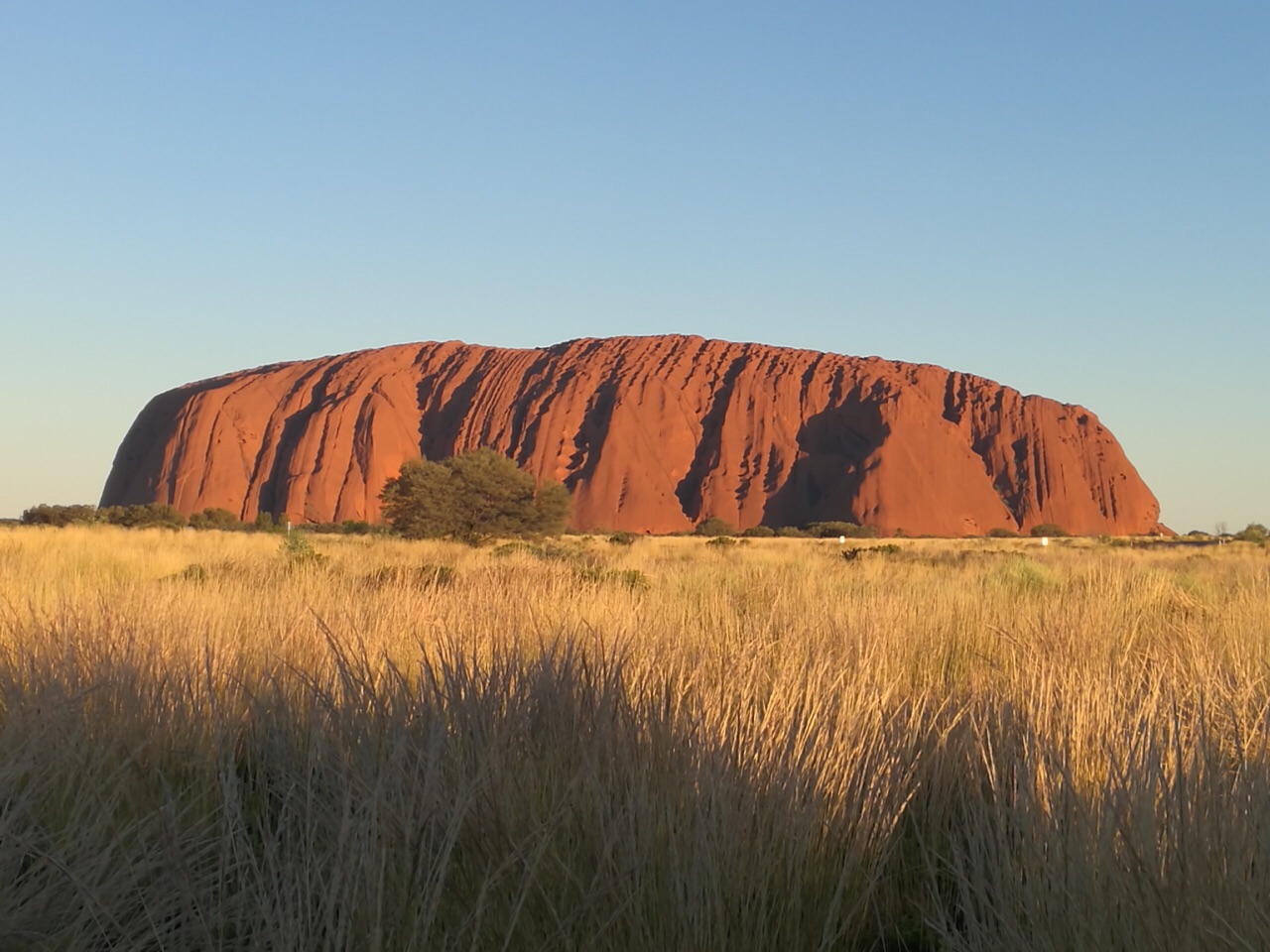 壁纸 澳大利亚的艾尔斯岩 1920x1200 HD 高清壁纸, 图片, 照片