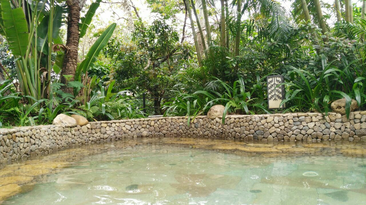 2023七仙瑶池野溪温泉玩乐攻略,环境优美,满满的负氧离子,.