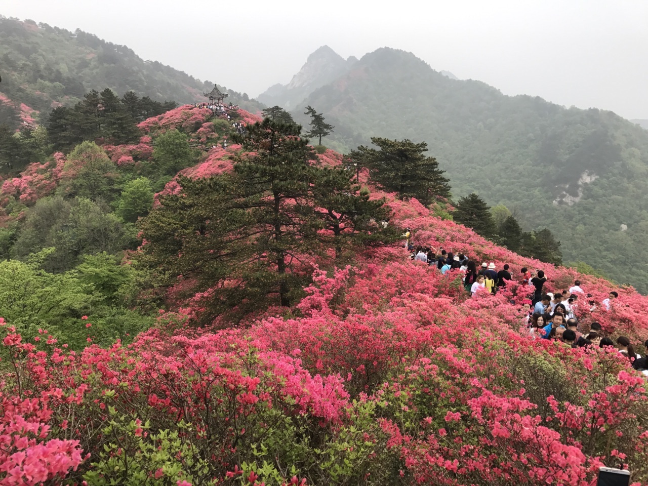 麻城龜峰山攻略,麻城龜峰山門票/遊玩攻略/地址/圖片/門票價格【攜程