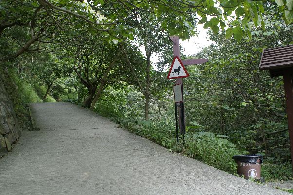 2019南大屿山郊野公园游玩攻略,郊野公园郁郁葱葱,面积很大.