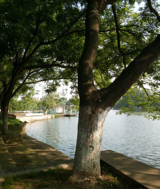 紫陽公園