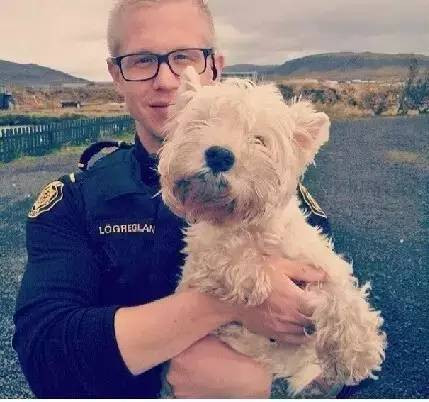 它是世界上抑郁症最多的国家,可画风明明超逗