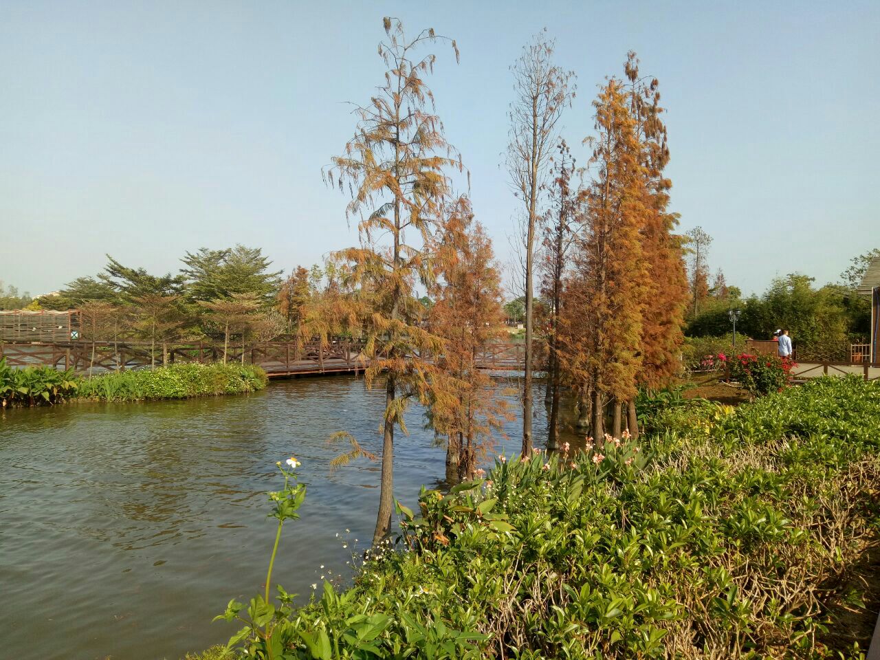 海珠湖公園