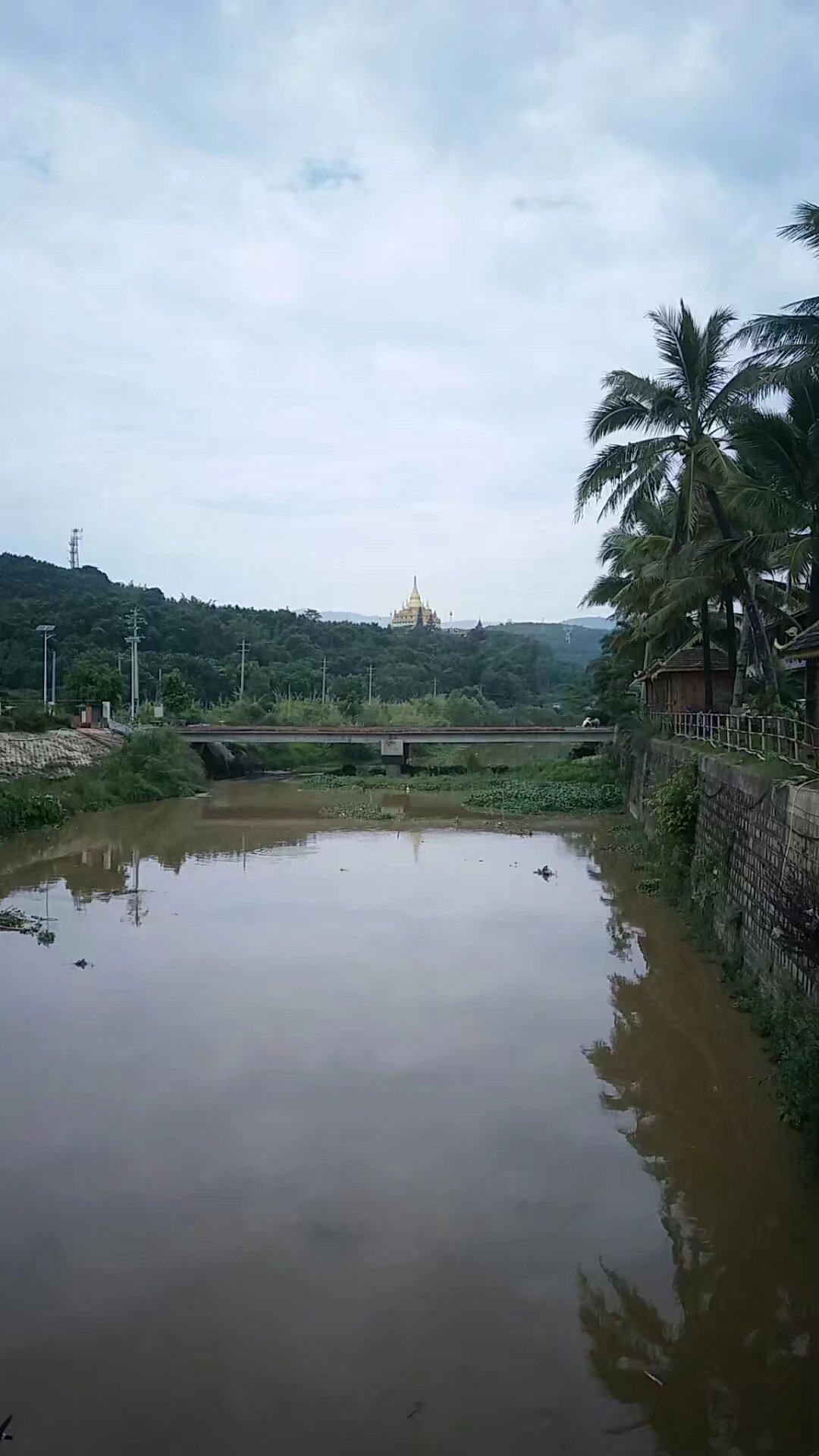 打洛